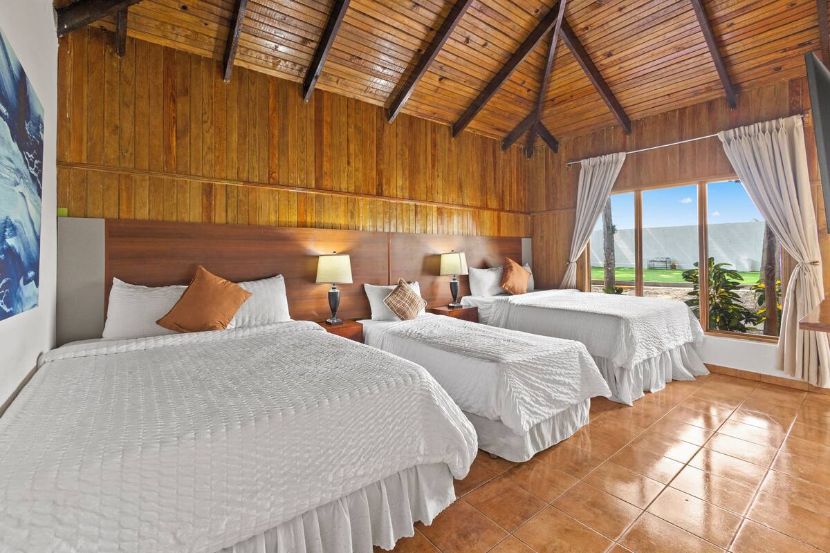 家庭小屋 | 埃及棉床单、高档床上用品、羽绒被、Select Comfort 床