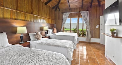Hotel H4