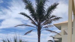 Un edificio moderno con techo plano, césped cuidado y una palmera.