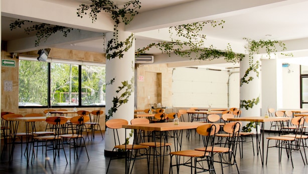 Un comedor amplio con mesas y sillas de madera, ventanas grandes y plantas colgantes.