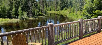 Little cabin in the woods