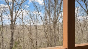 Blick von einem hölzernen Balkon auf einen dichten Wald mit kahlen Bäumen.
