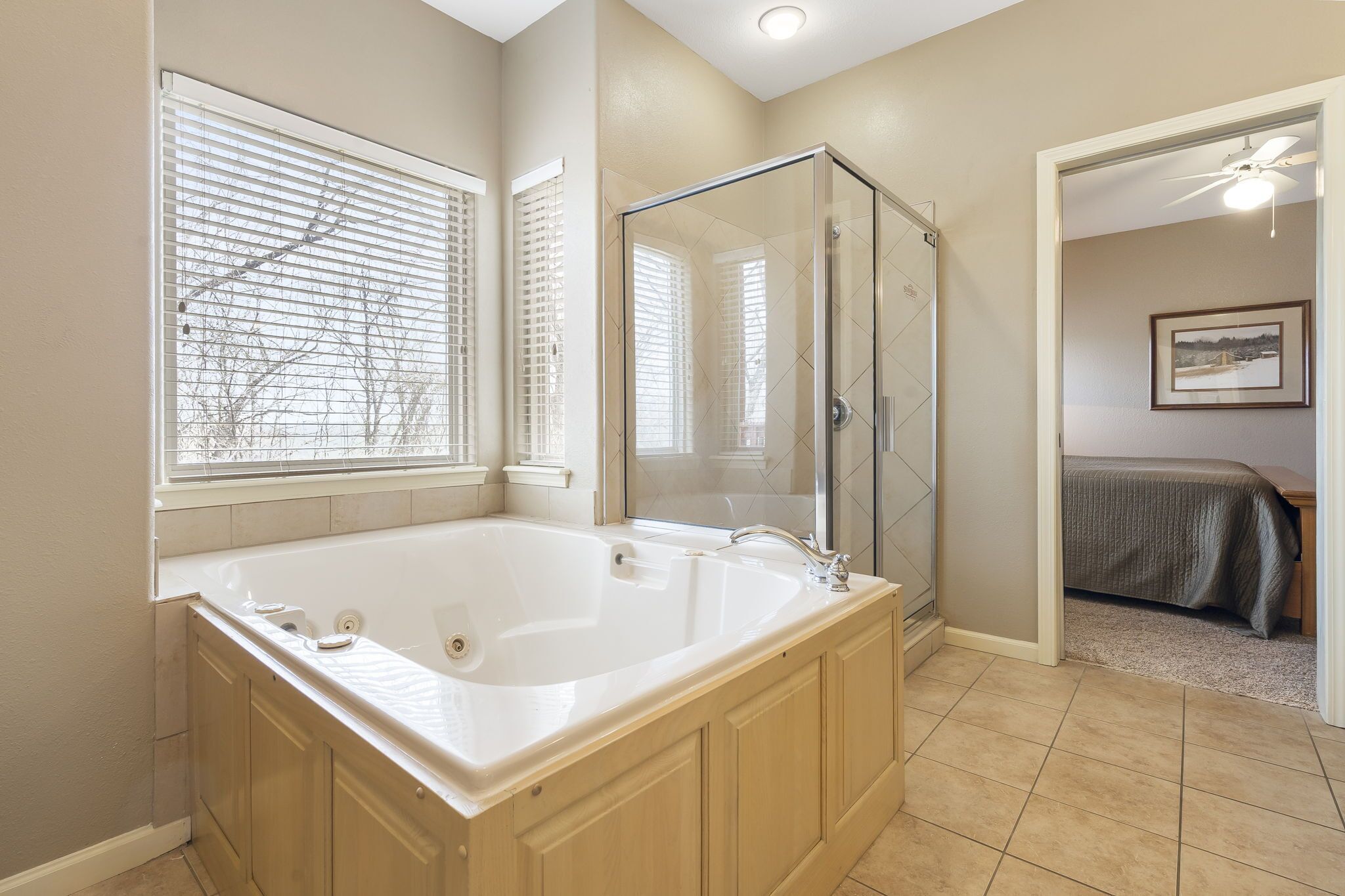 Shower, jetted tub, hair dryer, towels
