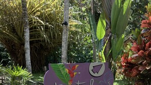 A garden with a sign that reads "tortola". - Las Palomas Villas (Cahuita)