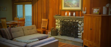 Smart TV, chimenea, reproductor de DVD y libros