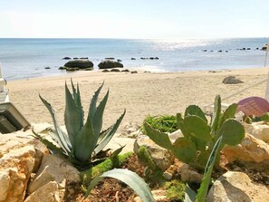 Playa en los alrededores 