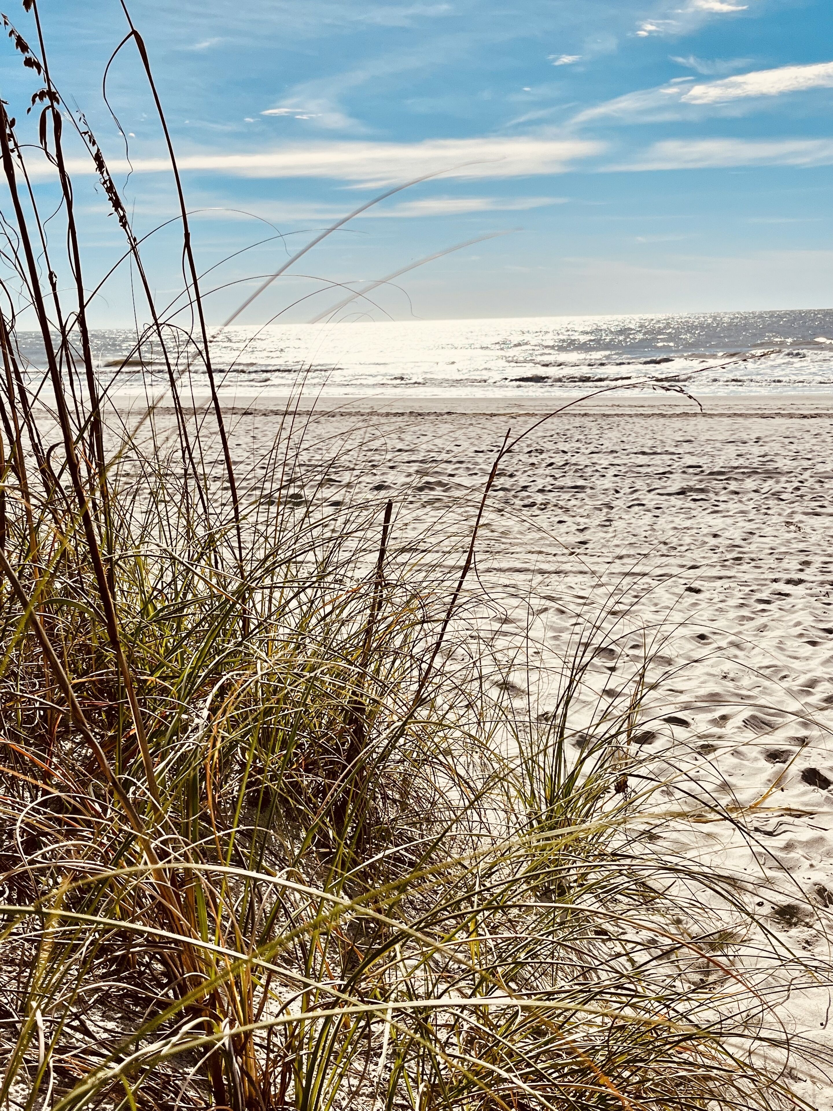 Sun loungers, beach towels