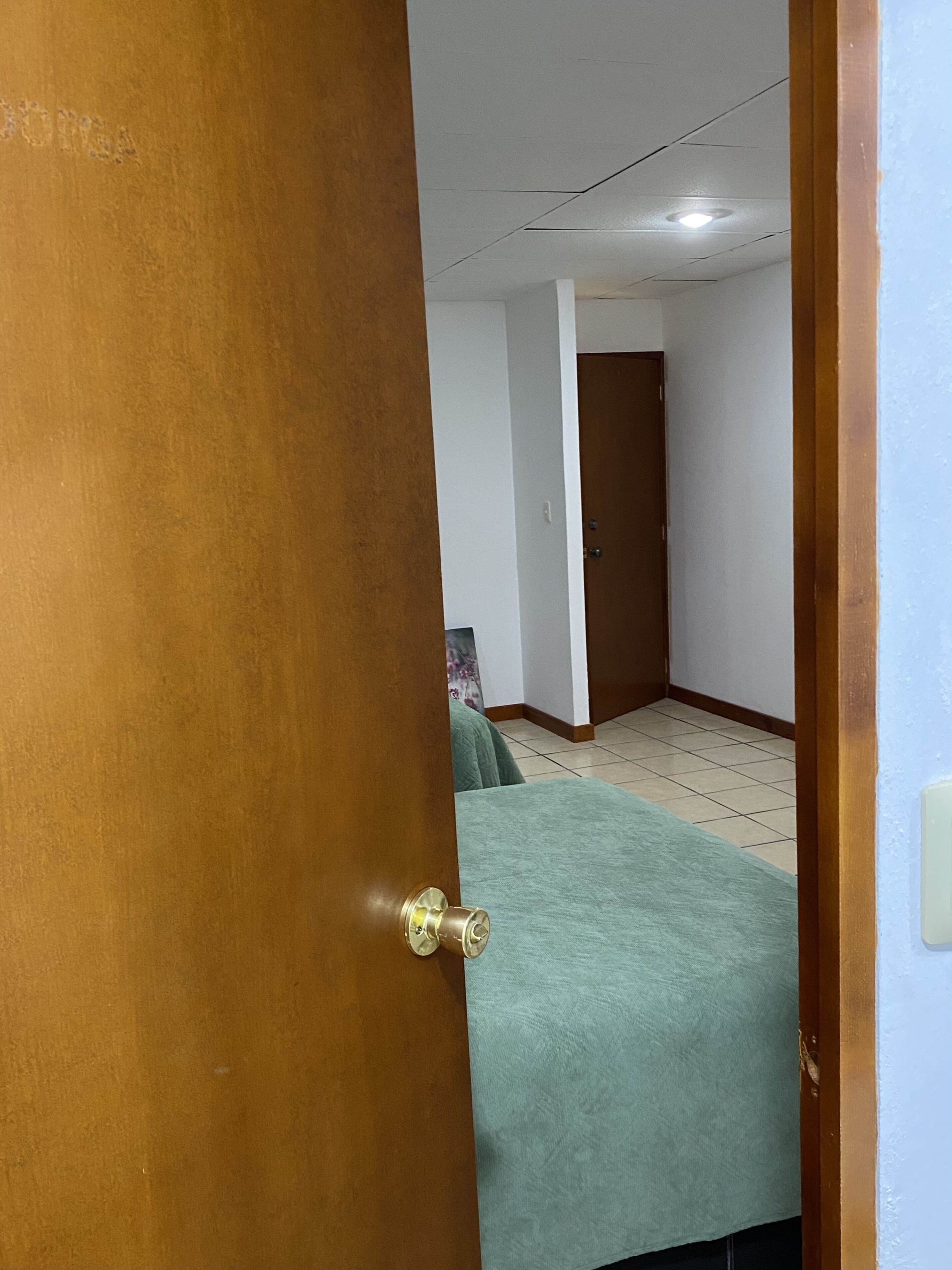 Una habitación con puerta de madera, alfombra verde, suelo de baldosas y pared blanca.