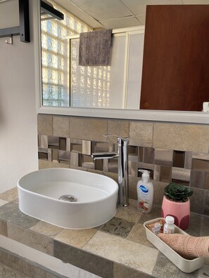 A bathroom with a large white sink, a modern faucet, a potted plant, and toiletries on the counter. - POSADA CATALINA  (Zacatlán)