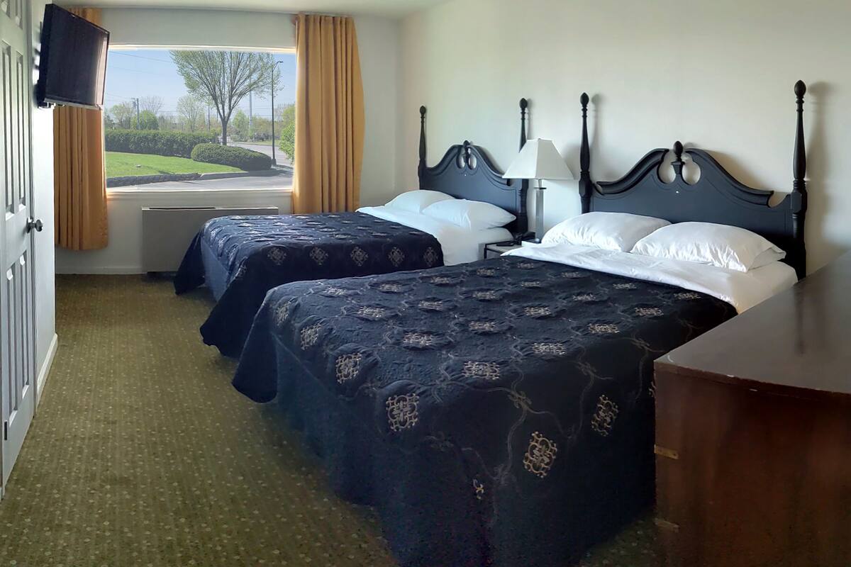 Habitación de hotel con dos camas, televisor, lámpara y vistas a un paisaje verde.