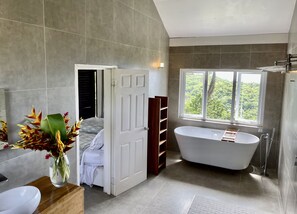 Hair dryer, towels, toilet paper