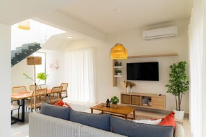 TV
