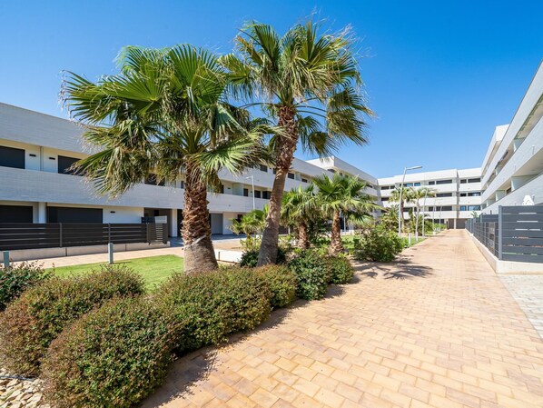 A modern building with a paved walkway, palm trees, and a well-maintained lawn.