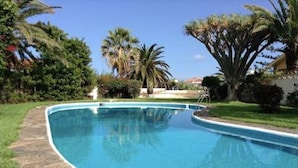 Une piscine aux bords incurvés, bordée de pierres, entourée d’une végétation luxuriante et de palmiers.
