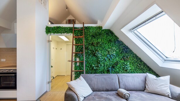 Ein modernes Interieur mit einem grauen Sofa, einer Holzleiter und einer grünen Wand.