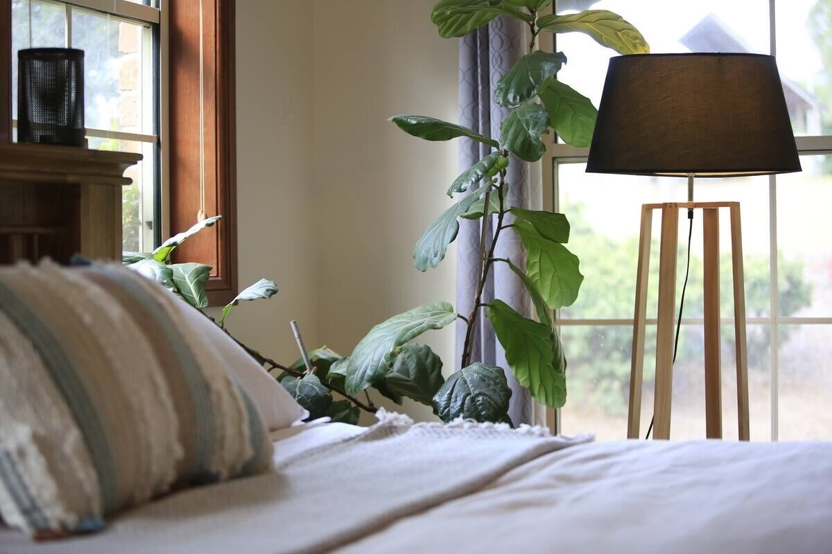 Retreat Space Foothills of the Blue Mountains