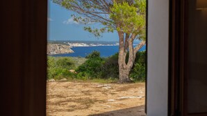 Visão através de uma porta de uma paisagem costeira com uma árvore e terreno rochoso.