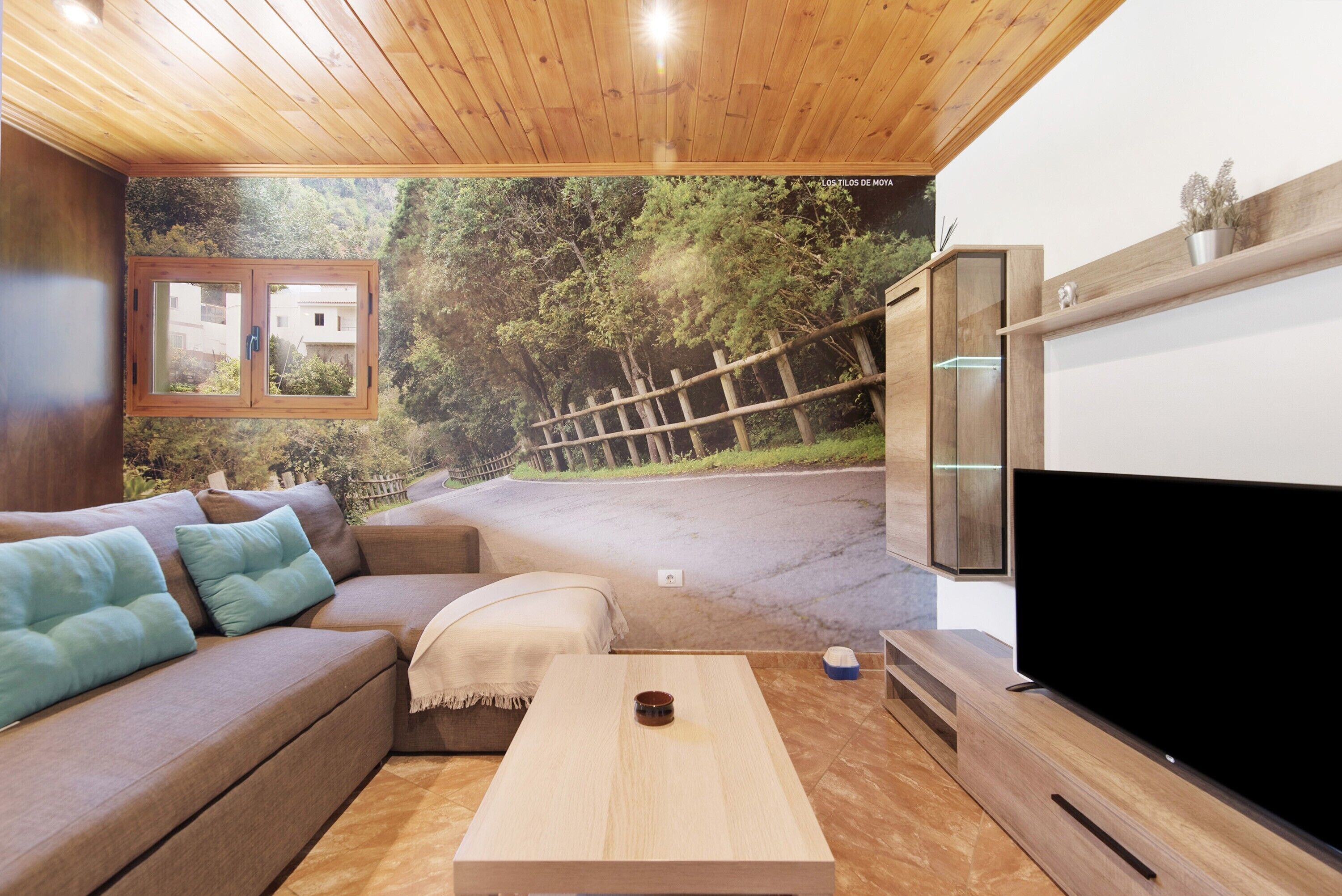 TV