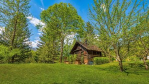 A rustic cabin surrounded by lush green trees and a clear blue sky.