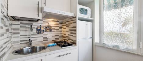 Fridge, microwave, stovetop, cookware/dishes/utensils