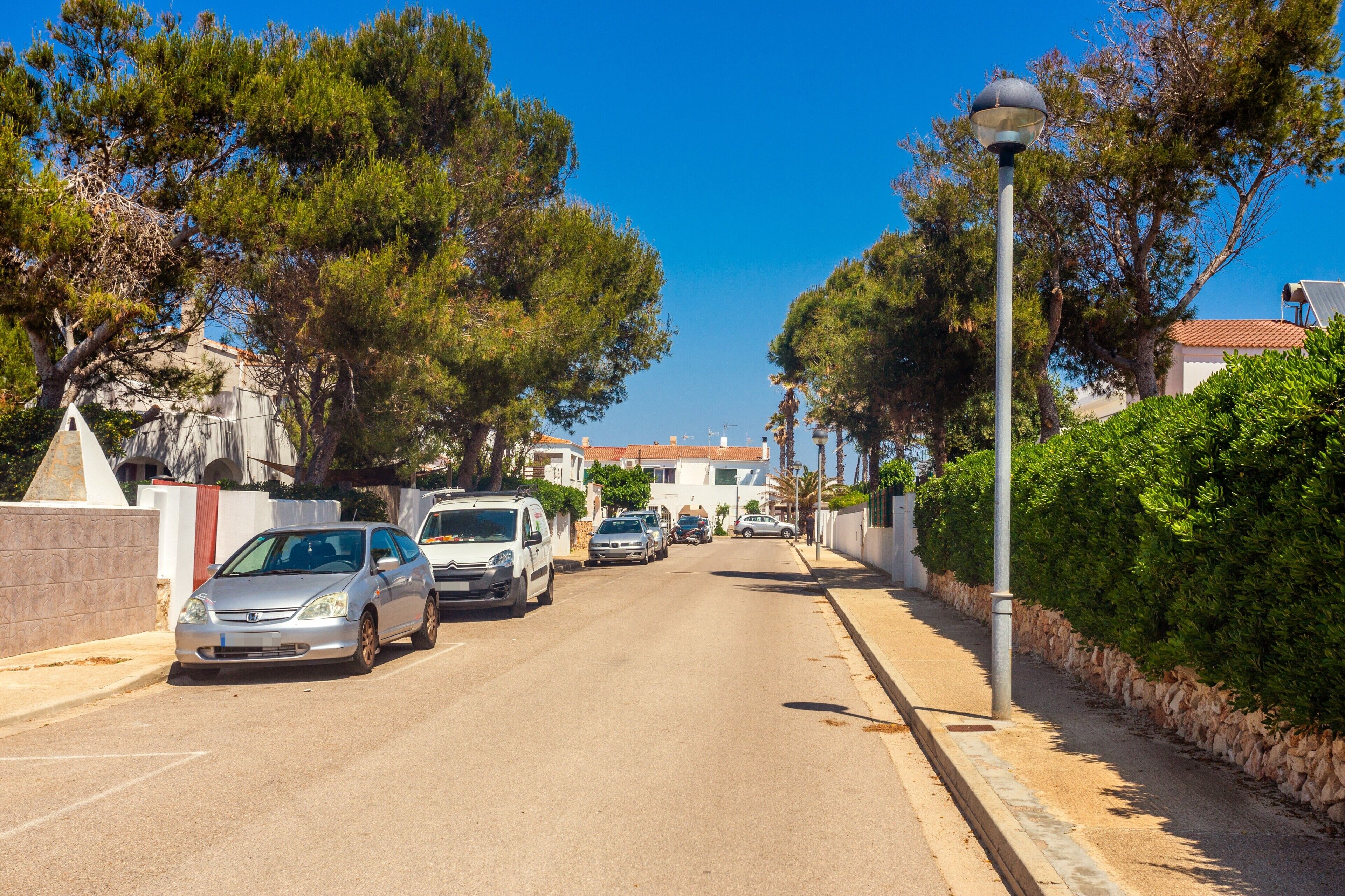 A street lined with parked cars and trees, with a clear sky above.