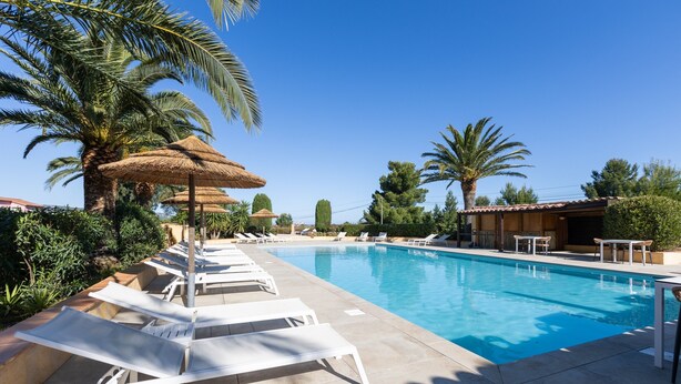 A swimming pool with lounge chairs and palm trees. - Apartment with Shared Pool, Private Terrace and Air Conditioning (Calvi)