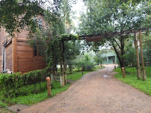 Trädgård