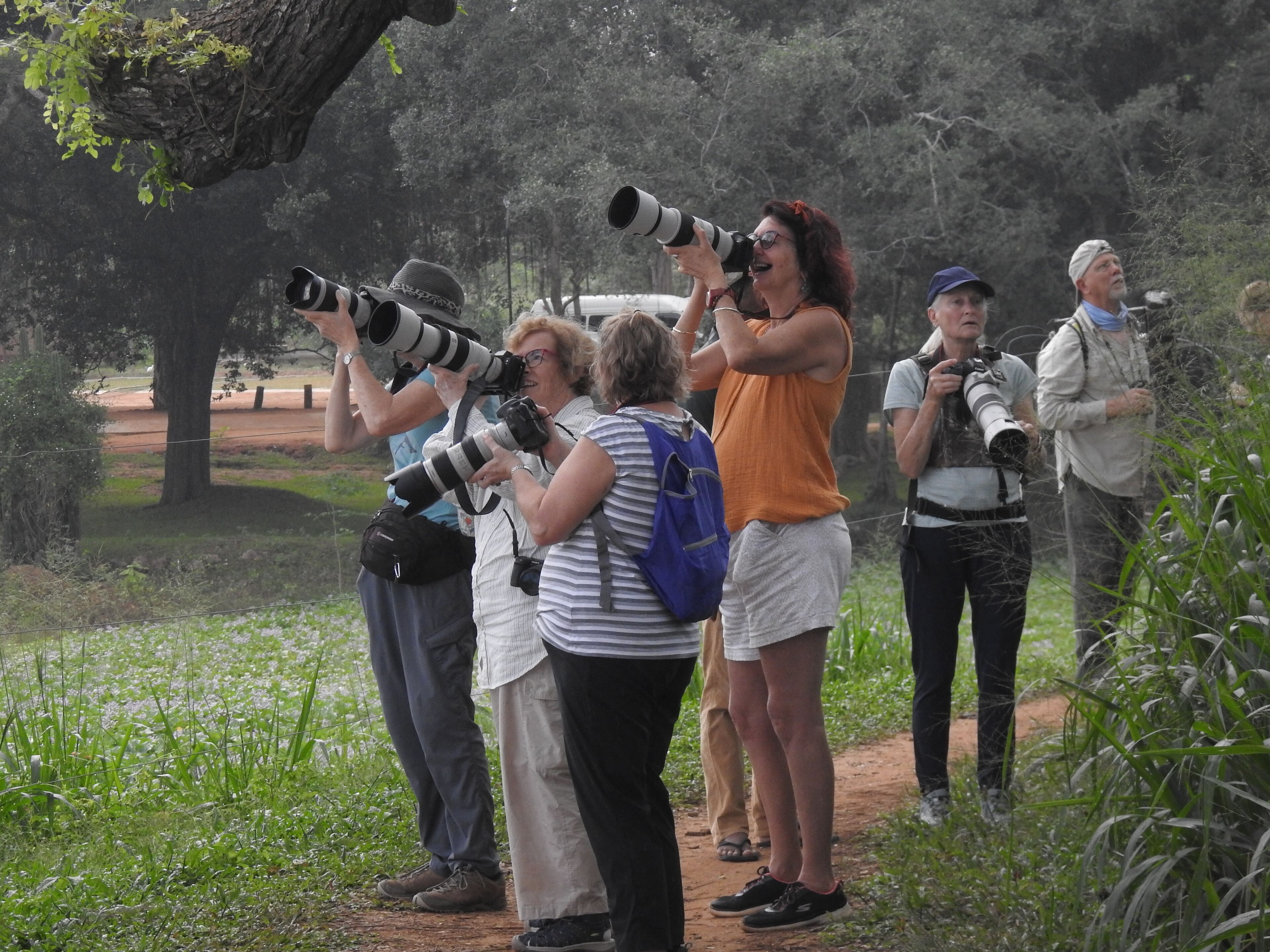 Een groep mensen met camera's, staand op een onverhard pad omgeven door groen.