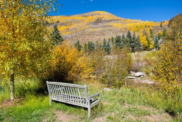 A bench in a natural setting with a view of a forested hillside.