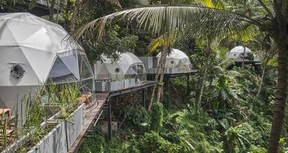 Lintang Luku Tent Resort Ijen, Banyuwangi