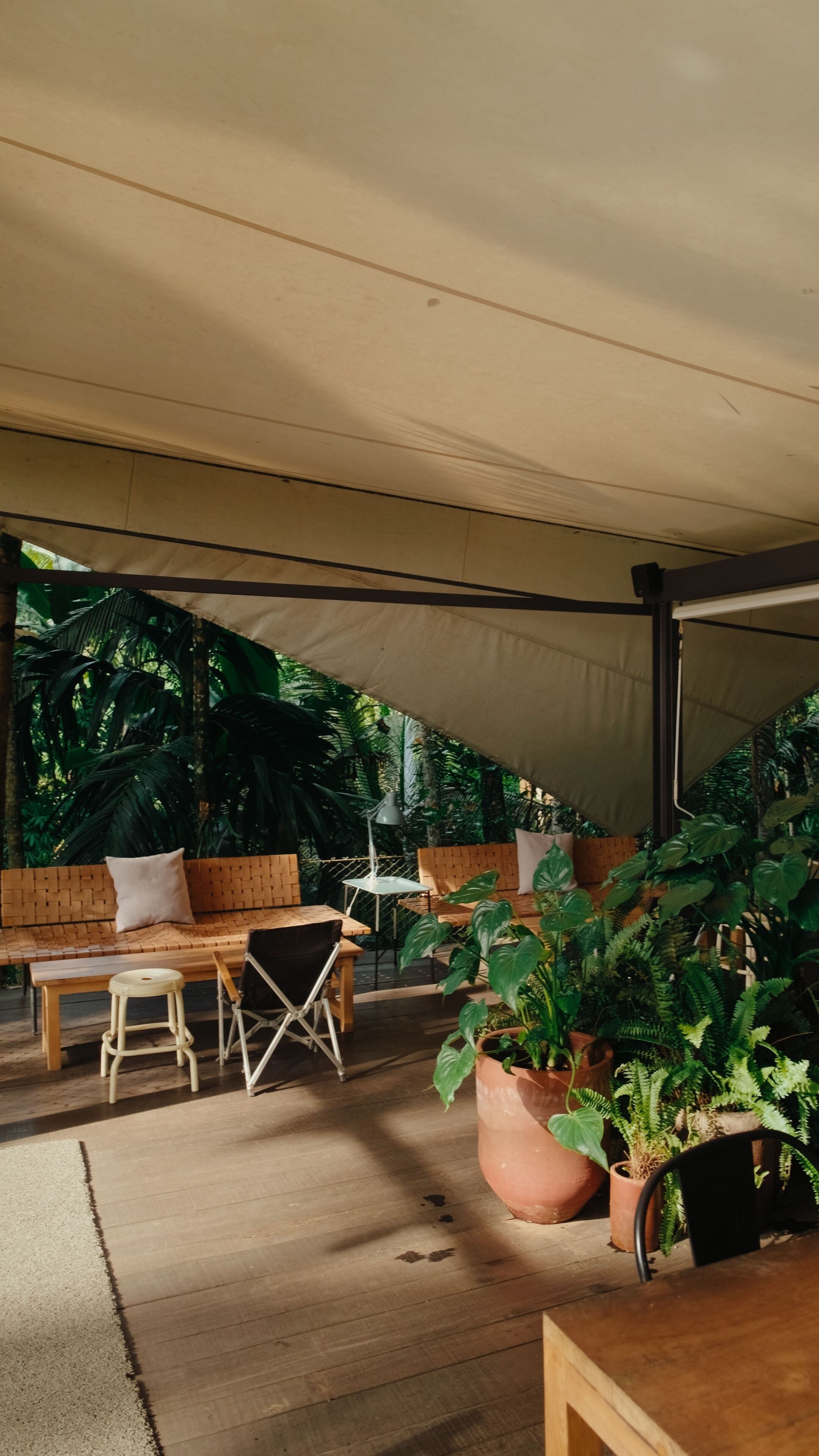 An outdoor seating area with a canopy, wooden furniture, and potted plants.