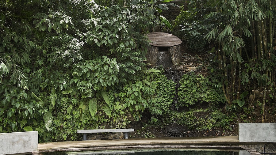 Lintang Luku Tent Resort Ijen, Banyuwangi