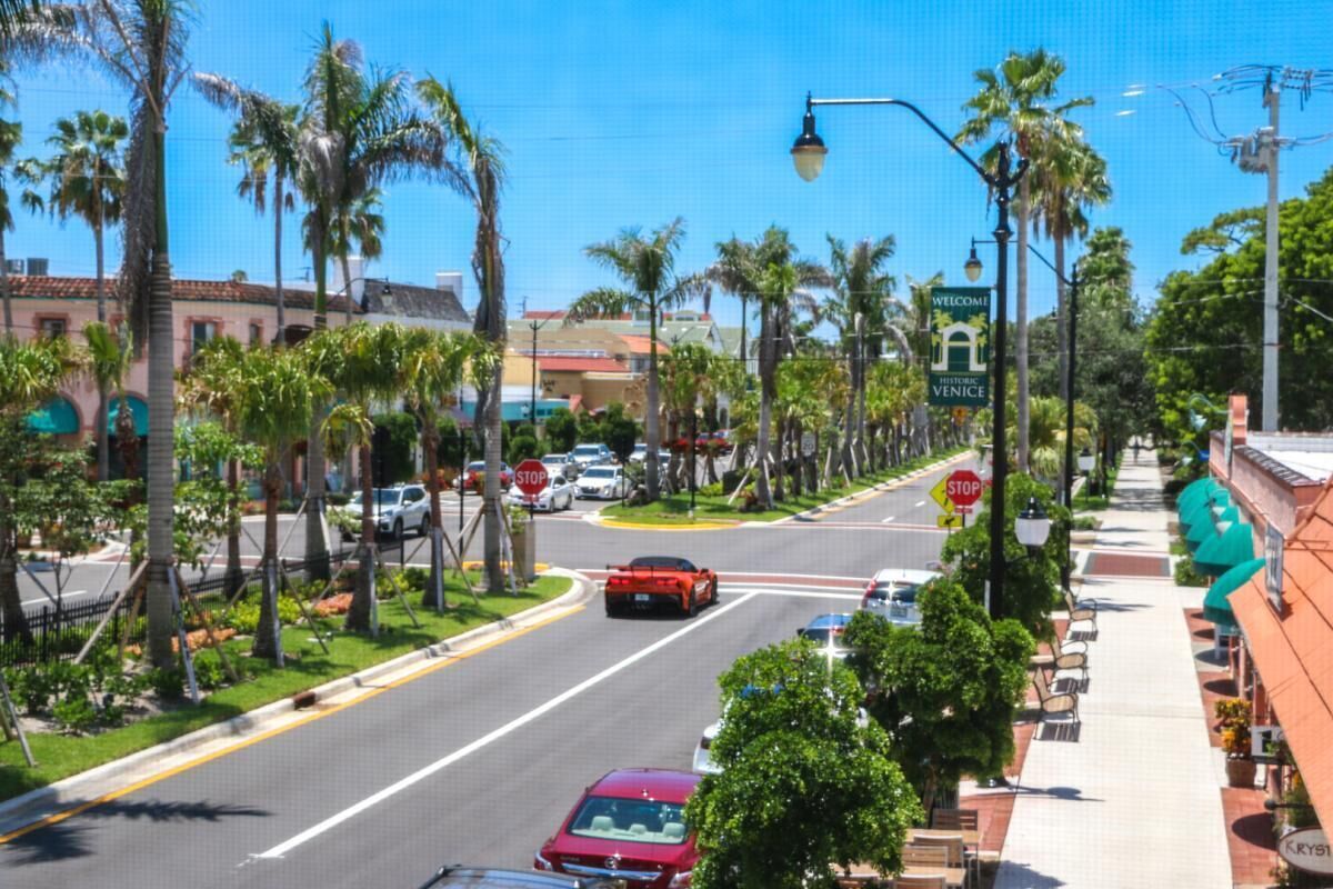 Una calle bordeada de palmeras y una señal de parada.