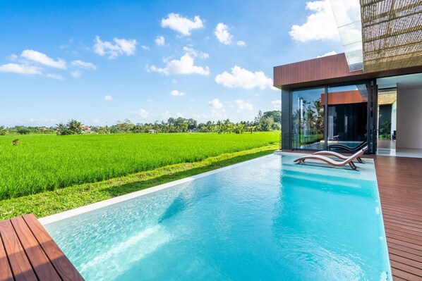 Relax by the pool surrounded by a lush green field and sleek architecture.