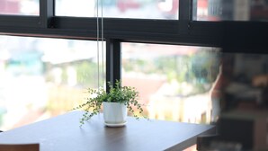 Una planta en maceta sobre una mesa de madera cerca de una ventana con vistas a edificios.