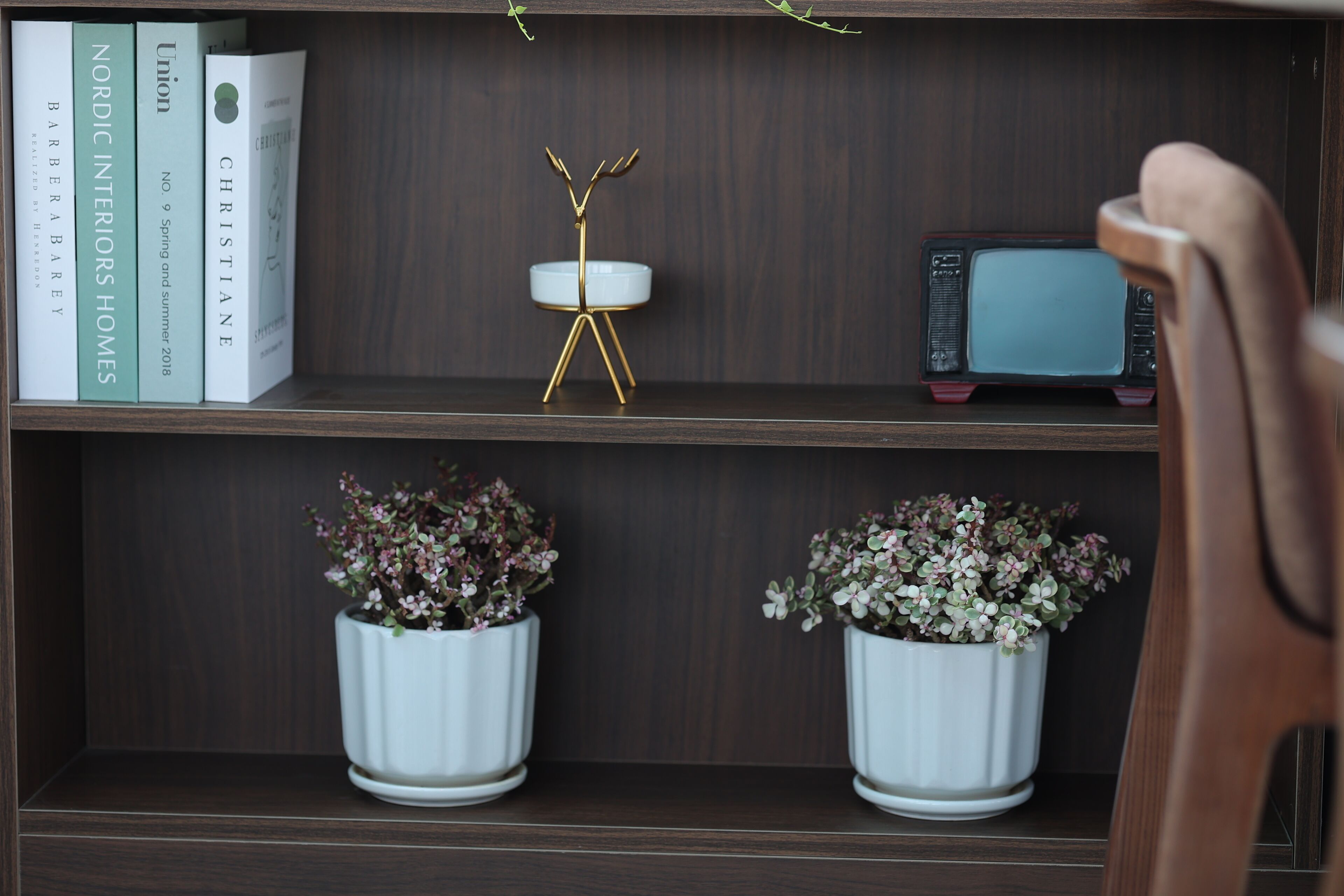 A bookshelf with books, a decorative stand, a small television, and two potted plants.