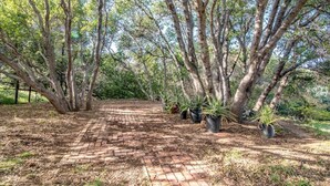 A paved pathway surrounded by trees and potted plants. - Guinda's Finest Nature Get-Away! (Guinda)