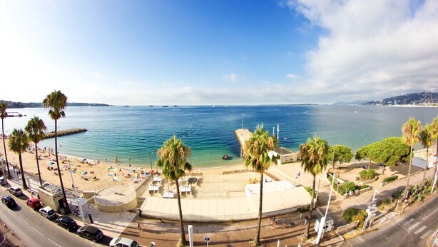 Una playa con palmeras, una zona arenosa y una carretera con coches.