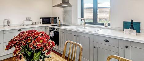 Fridge, oven, stovetop, toaster