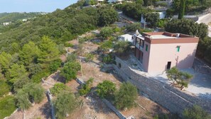 Exterior - Villa Anna - THE LECCIO (Fasano)