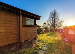 A wooden cabin with a window, a grassy yard, and a tree.