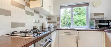 Fridge, oven, stovetop, dishwasher