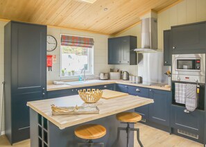 Fridge, oven, stovetop, toaster