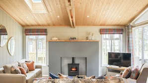 A cozy living room with a fireplace, wooden ceiling, and large windows. - 3 bedroom accommodation in Lauder (Lauder)