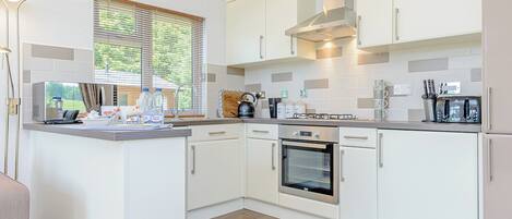 Fridge, oven, stovetop, dishwasher