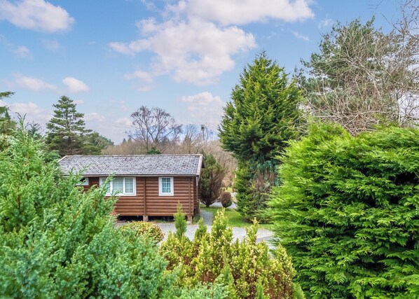 A wooden cabin with a sloped roof, surrounded by dense greenery and trees.