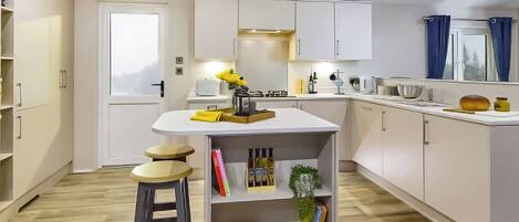 Fridge, oven, stovetop, toaster