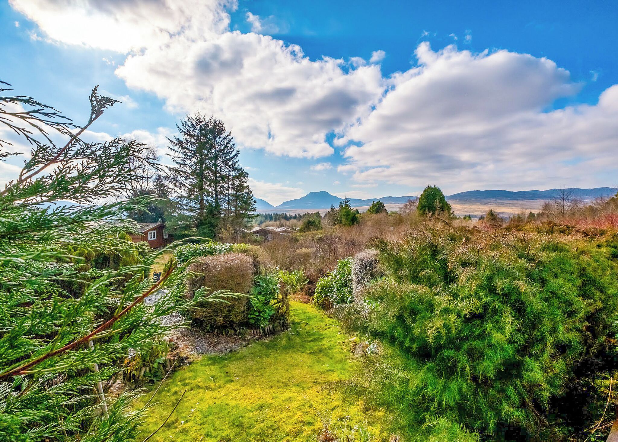 Ländliche Landschaft mit einem grasbewachsen Pfad, dichter Vegetation und fernen Bergen.