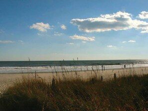 Beach nearby - Cozy Beach Condo,Pool,Sm Dogs ok,D19 (Myrtle Beach)