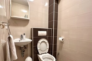 Douche, séchoir à cheveux, serviettes fournies, papier de toilette